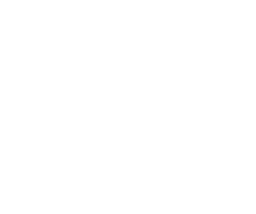 Forever Young Electric Bike Tours